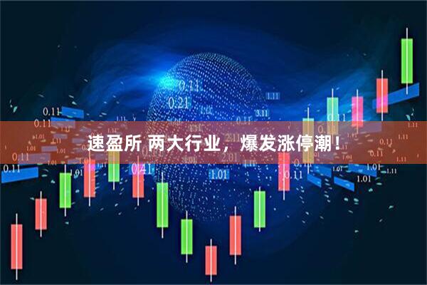 速盈所 两大行业，爆发涨停潮！