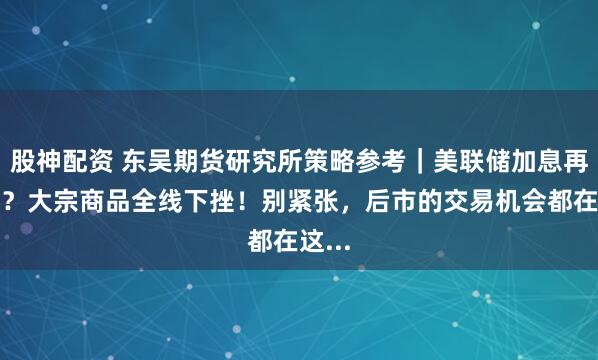 股神配资 东吴期货研究所策略参考｜美联储加息再生变？大宗商品全线下挫！别紧张，后市的交易机会都在这...