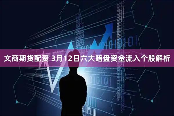 文商期货配资 3月12日六大暗盘资金流入个股解析