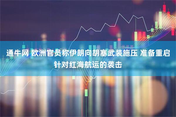 通牛网 欧洲官员称伊朗向胡塞武装施压 准备重启针对红海航运的袭击
