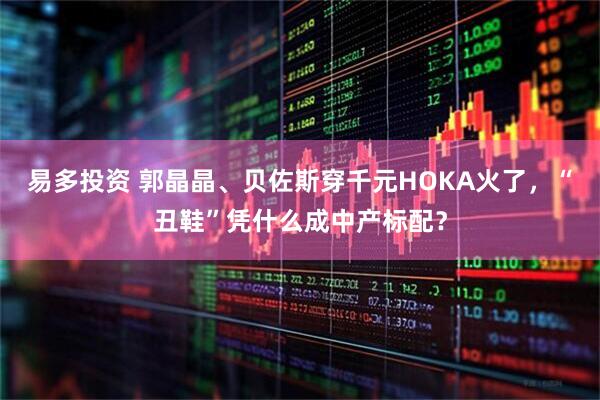 易多投资 郭晶晶、贝佐斯穿千元HOKA火了，“丑鞋”凭什么成中产标配？