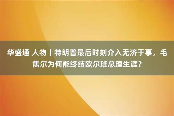 华盛通 人物｜特朗普最后时刻介入无济于事，毛焦尔为何能终结欧尔班总理生涯？