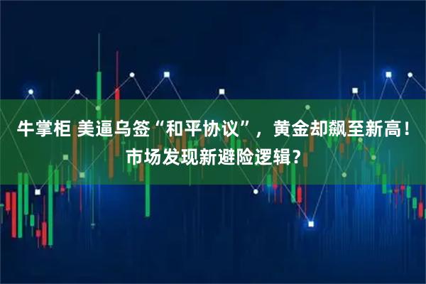 牛掌柜 美逼乌签“和平协议”，黄金却飙至新高！市场发现新避险逻辑？