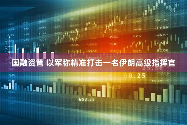 国融资管 以军称精准打击一名伊朗高级指挥官