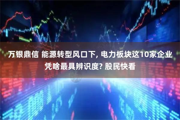 万银鼎信 能源转型风口下, 电力板块这10家企业凭啥最具辨识度? 股民快看