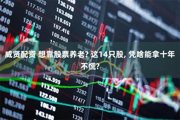 威贤配资 想靠股票养老? 这14只股, 凭啥能拿十年不慌?