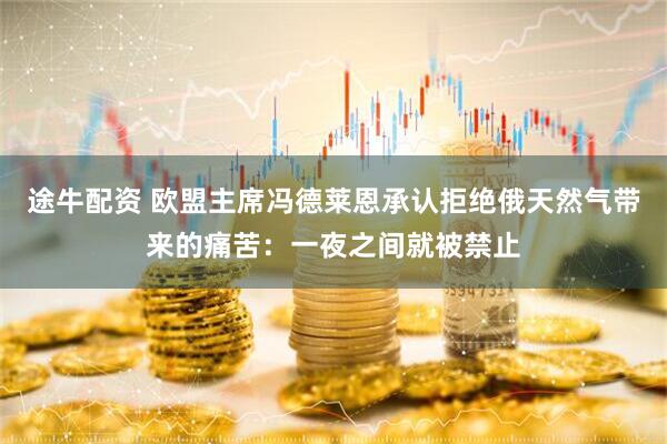 途牛配资 欧盟主席冯德莱恩承认拒绝俄天然气带来的痛苦：一夜之间就被禁止