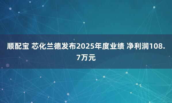 顺配宝 芯化兰德发布2025年度业绩 净利润108.7万元