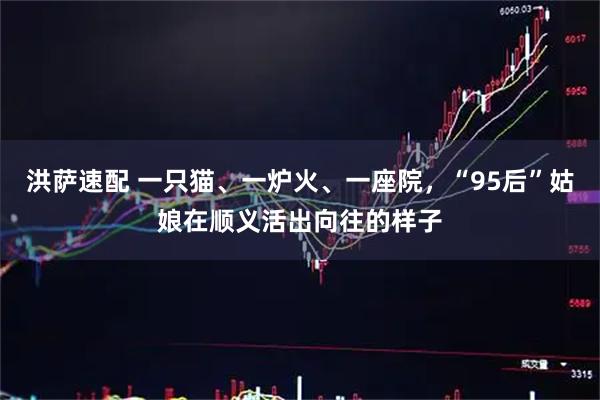 洪萨速配 一只猫、一炉火、一座院，“95后”姑娘在顺义活出向往的样子
