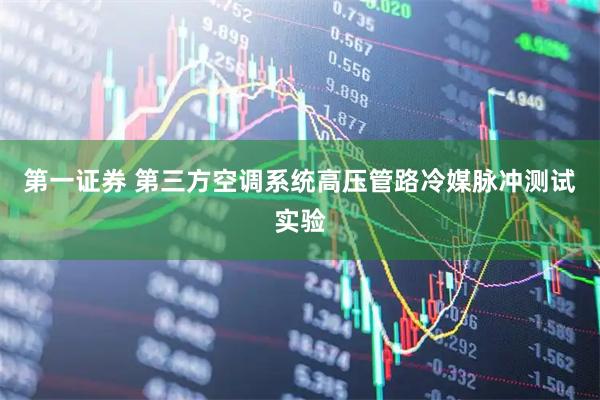 第一证券 第三方空调系统高压管路冷媒脉冲测试实验