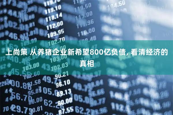 上尚策 从养猪企业新希望800亿负债, 看清经济的真相